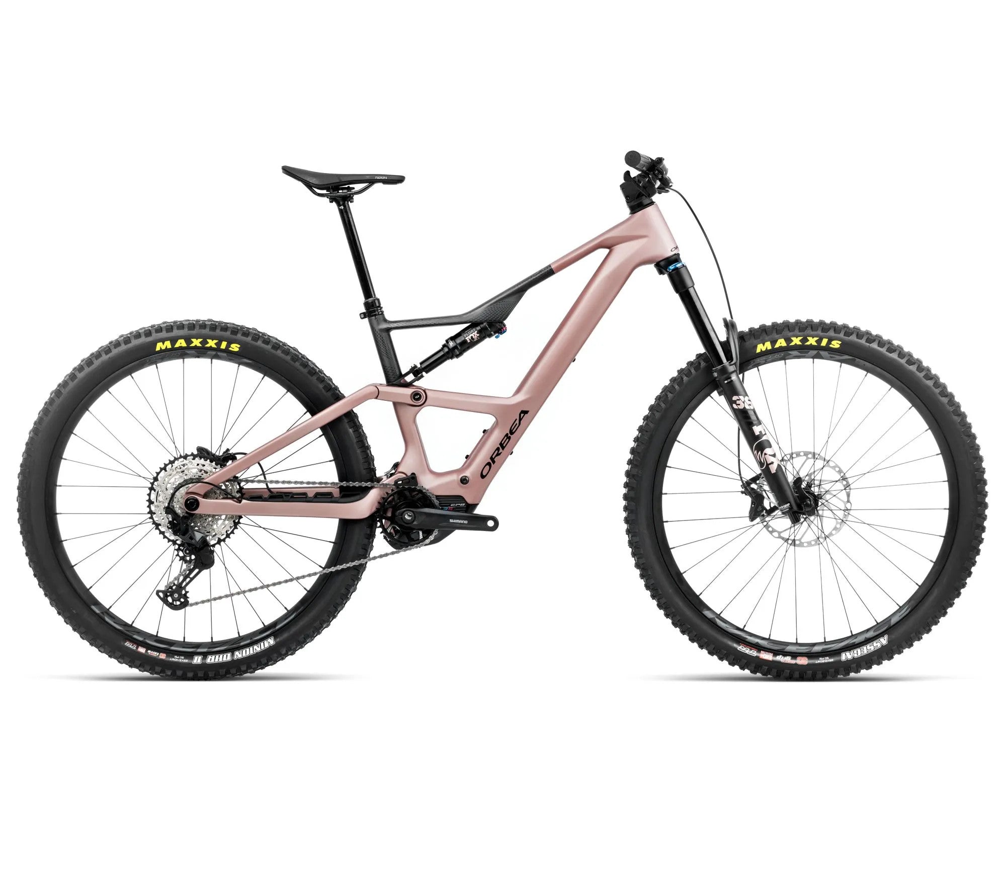S337TTCC-SY-SIDE-RISE_LT_M20
