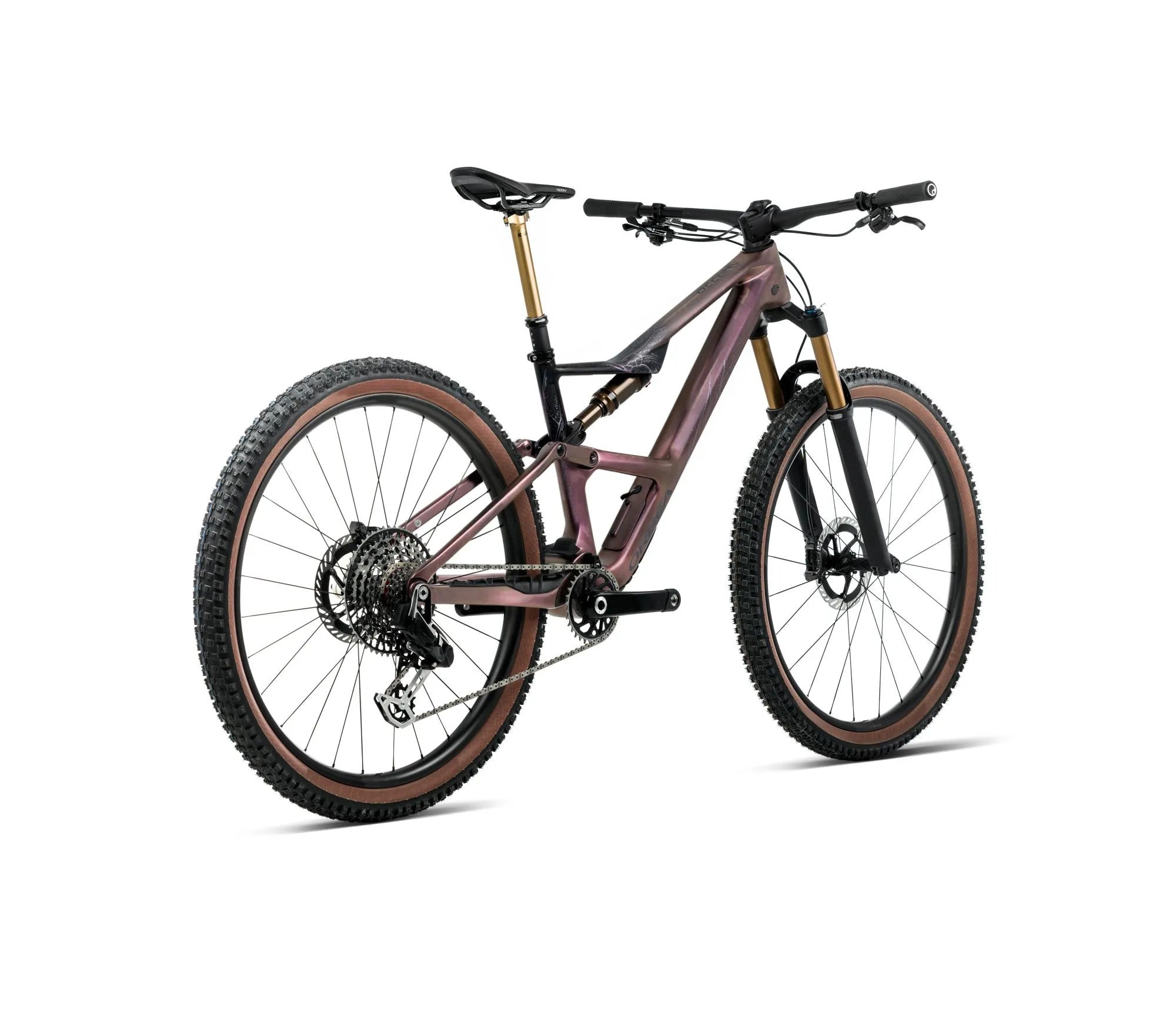 T242TTCC-M3-BACK-OCCAM_SL_MLTD