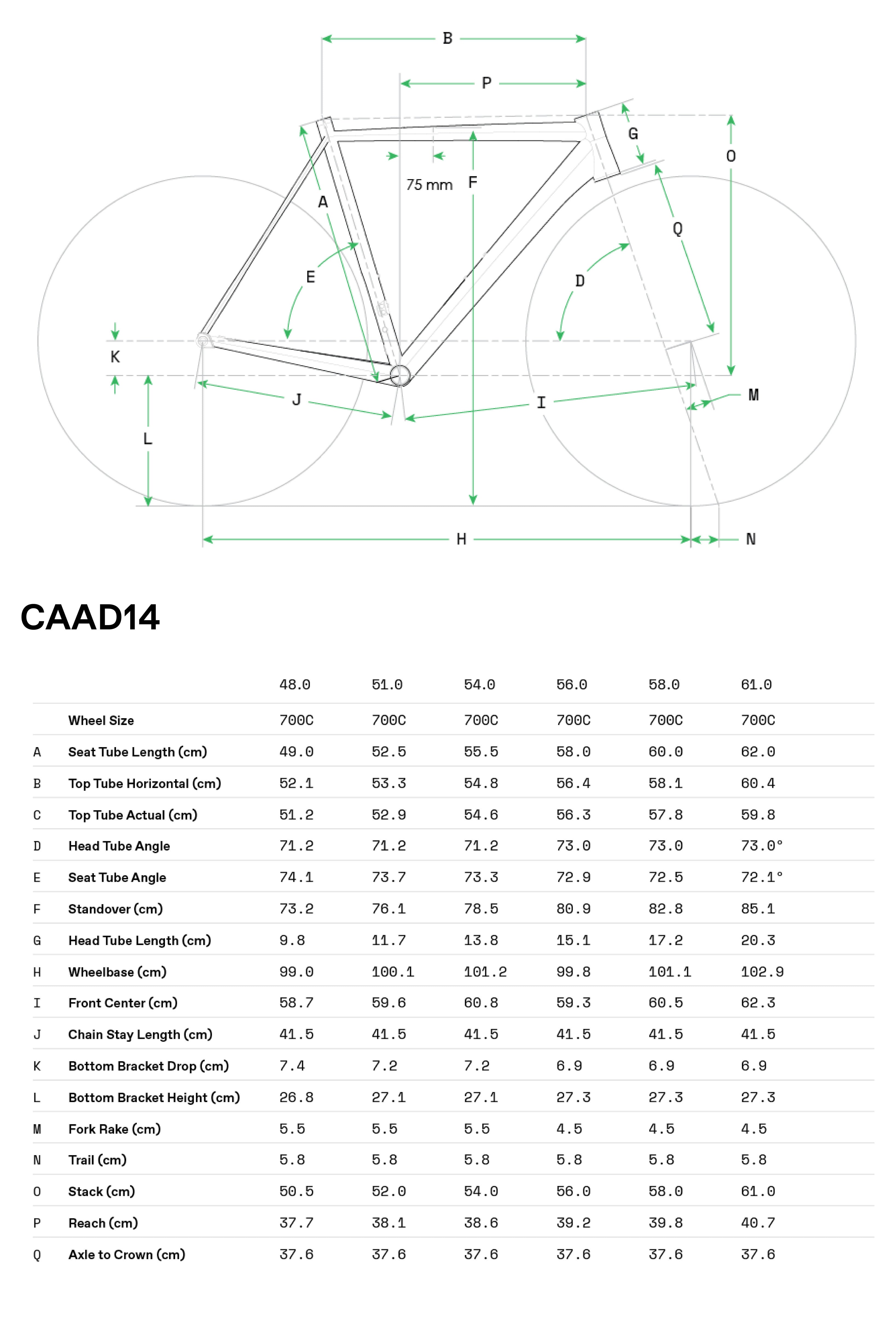 Cannondale CAAD14 1 2026 Gris - Geometría