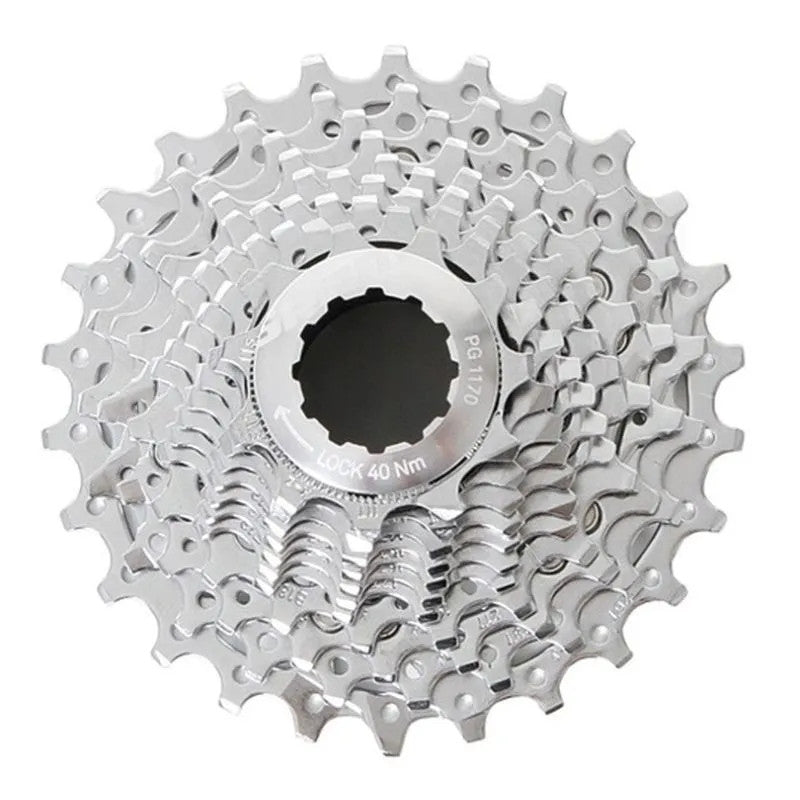 102029