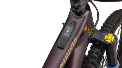 Levo SL 2 Ohlins Coil Specialized 2025 Solidity/Maroon/Burnt Gold Metallic #9