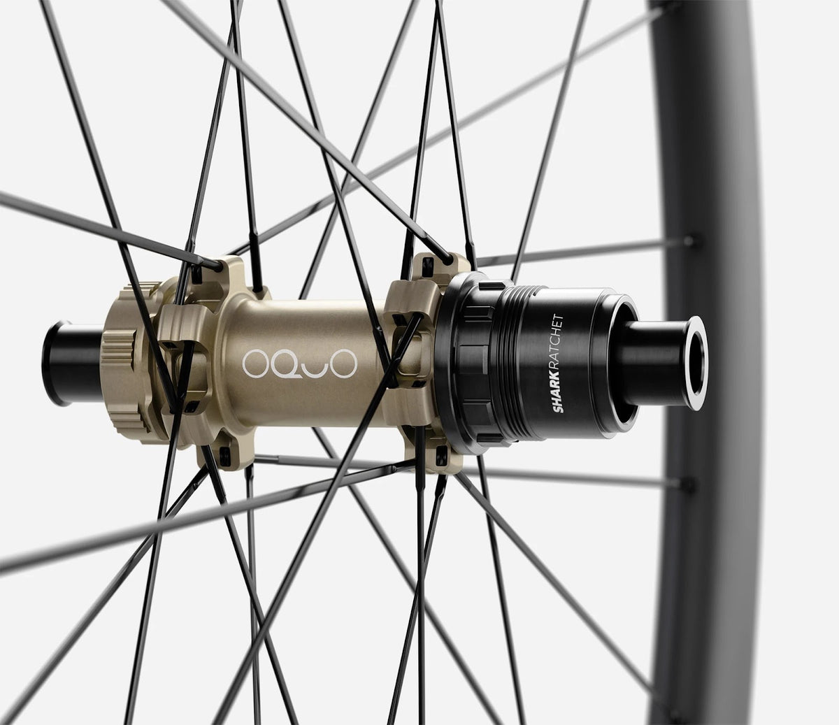 O1640075