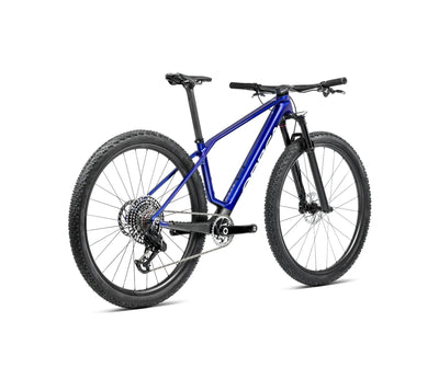 S222TTCC-F8-BACK-ALMA_MLTD