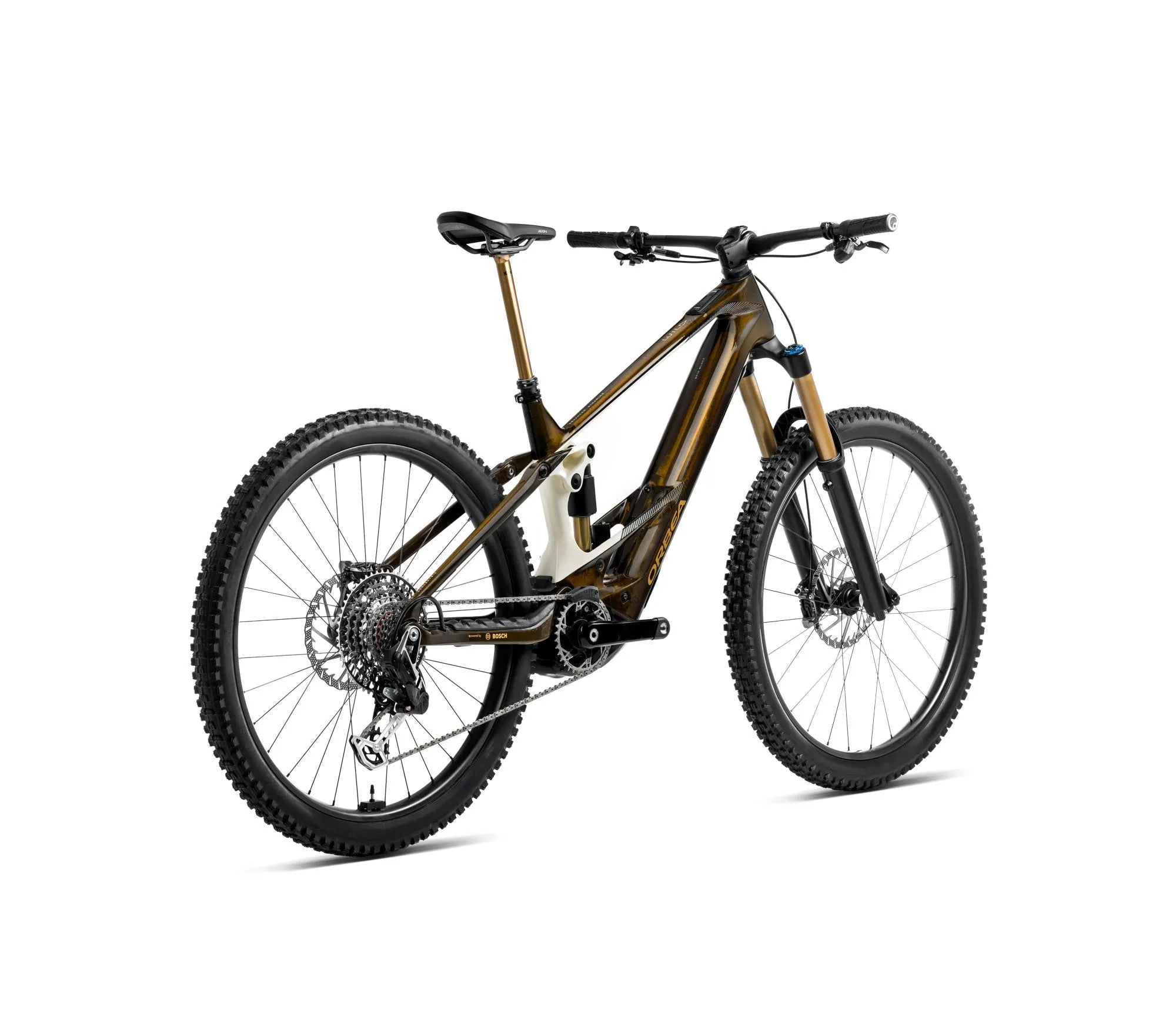 S349TTCC-X2-BACK-WILD_MLTD