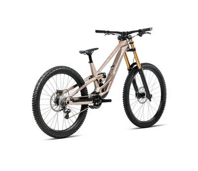 T255TTCC-M8-BACK-RALLON_DH_LTD