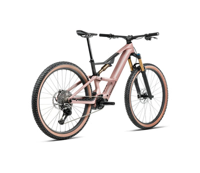 T324TTCC-SY-BACK-RISE_SL_MLTD
