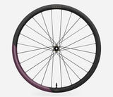 Oquo Hinterrad Gravel RP35LTD Shimano HG Metallic Mulberry
