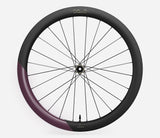 Oquo Hinterrad Gravel RP50LTD Sram XDR Metallic Mulberry